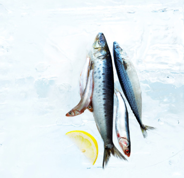 superfoods-6-fish