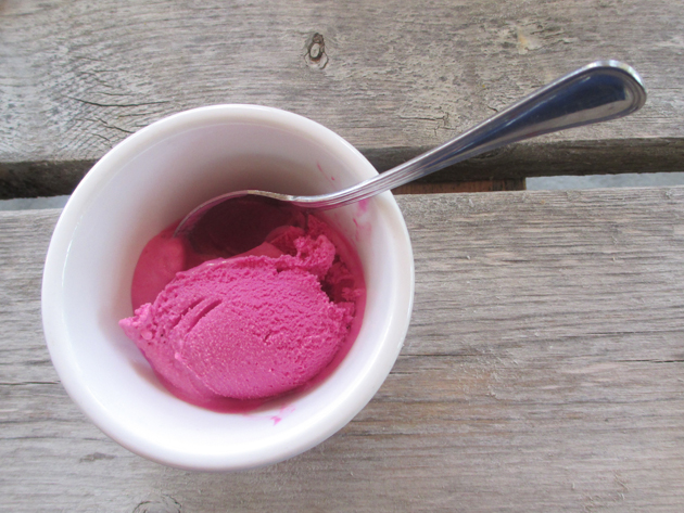 Fresh berry sorbet at Covert Farms