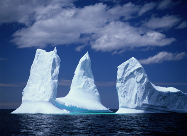 T-iceberg-alley