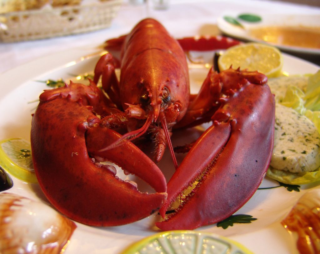 4.lobster