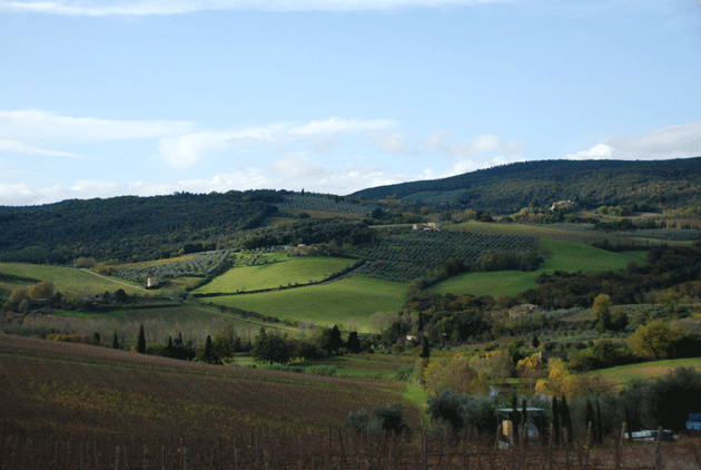 Fields near San Gimignano; the MS Vulcania