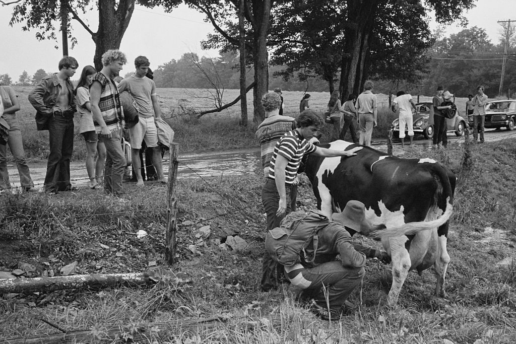 A group of people milk a cow at the Woodstock Music & Art Fair, Bethel, NY, August 15, 1969. (Photo by Baron Wolman/Iconic Images/Getty Images)