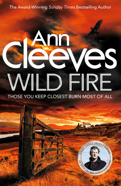 The book cover for Wild Fire. A fiery orange sky looming over farmland. 