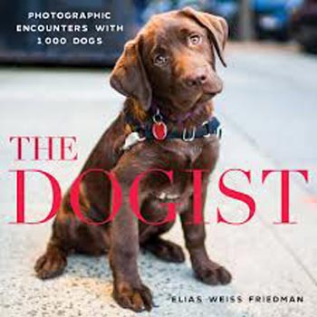 Book cover of The Dogist by Elias Weiss Friedman
