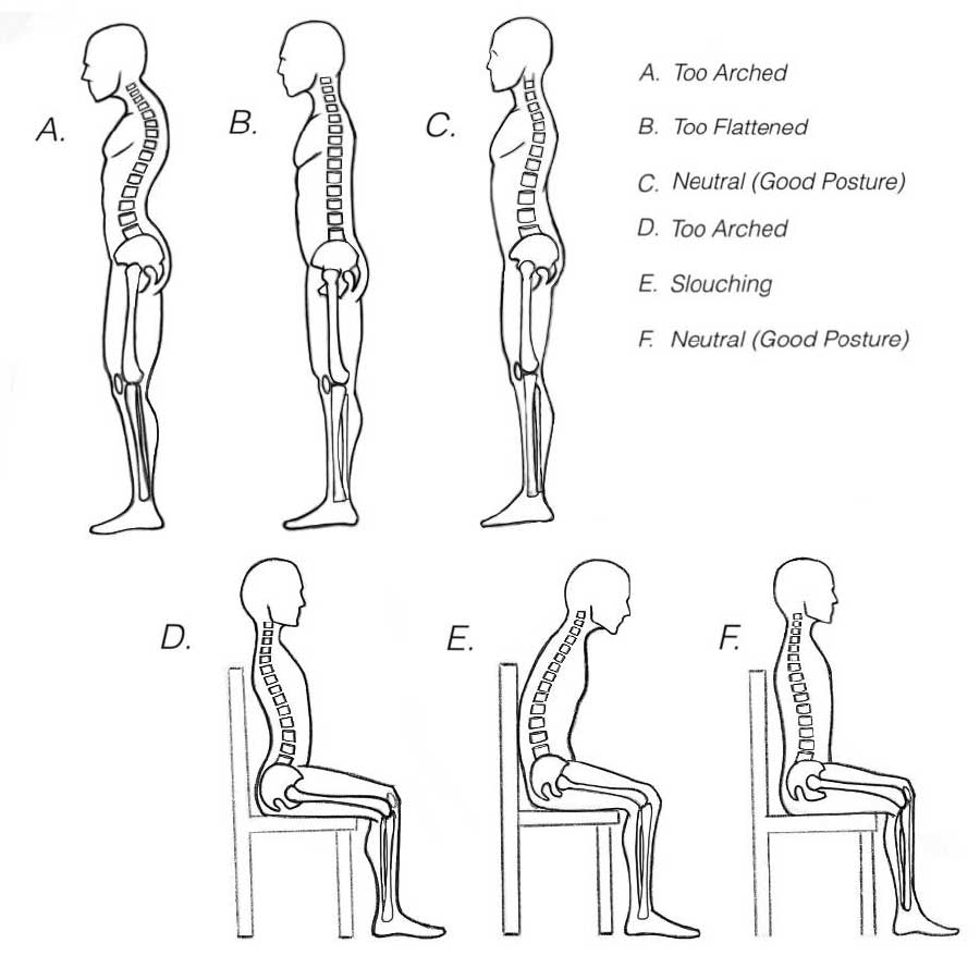 An illustration of several spine positions including the neutral spine. 