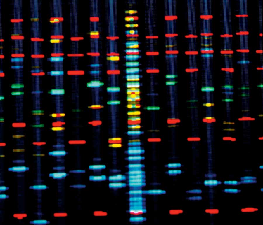 The code of the Human Epigenome consisting of strips of red, blue, green and yellow lights on a black background. 