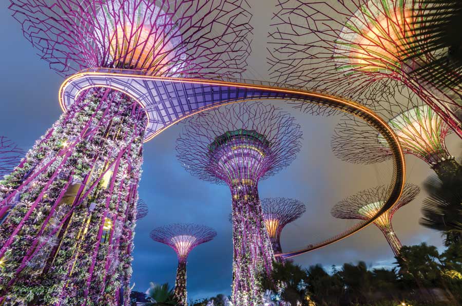 Supertree Grove in Gardens by the Bay, Singapore. 