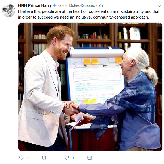 Prince Harry with Jane Goodall