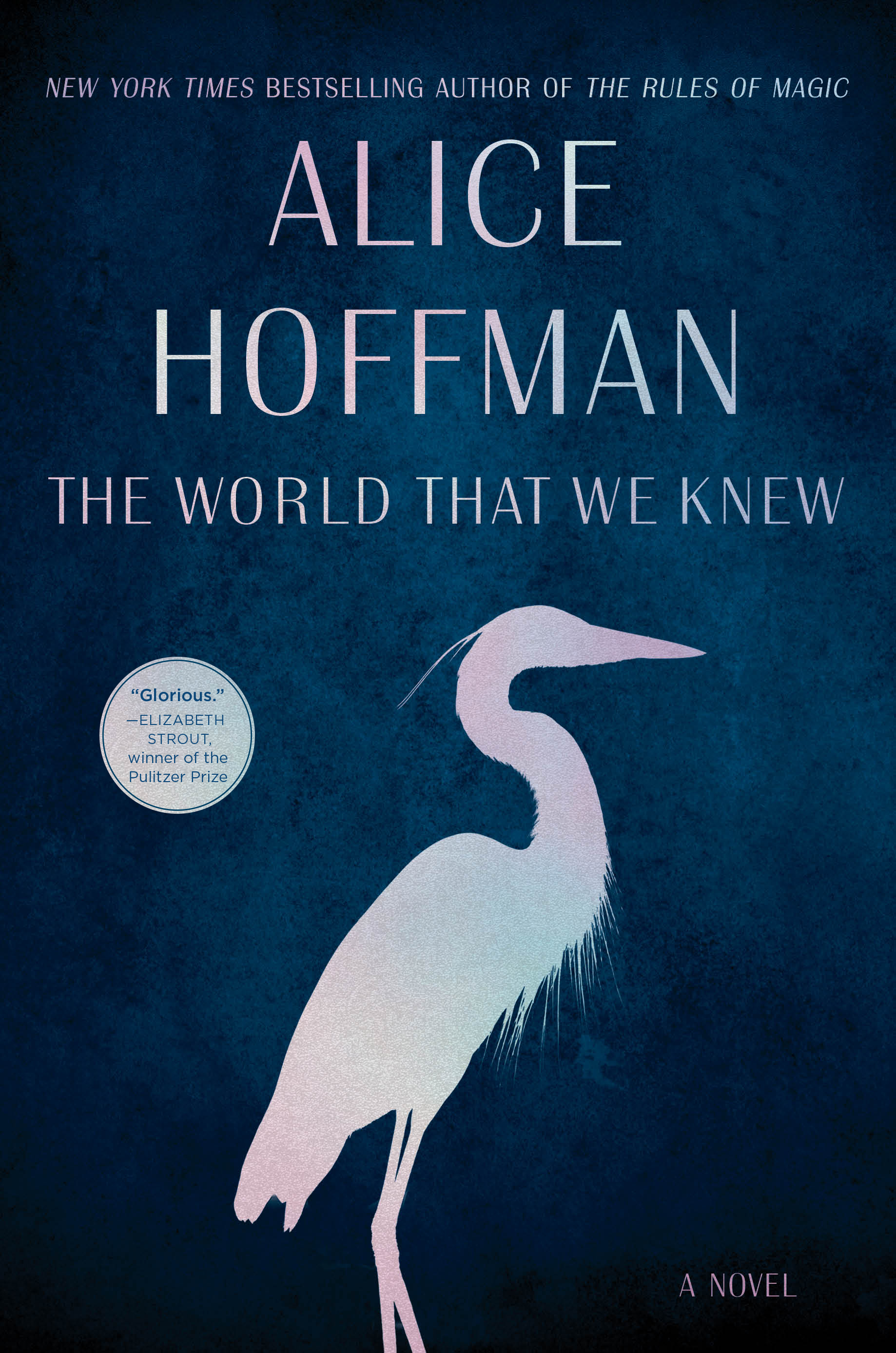 Book cover for The World That We Knew by Alice Hoffman.