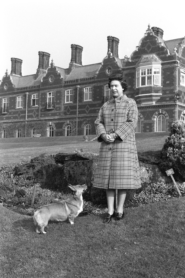 Queen Elizabeth II with a corgi in the grounds of Sandringham House, Norfolk, to mark the 30th anniversary of the Queen's accession to the throne. 