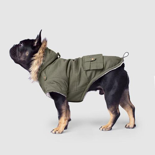 Parka for dogs