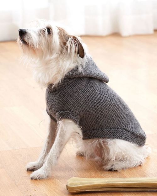 Knitting Pattern for dog sweater