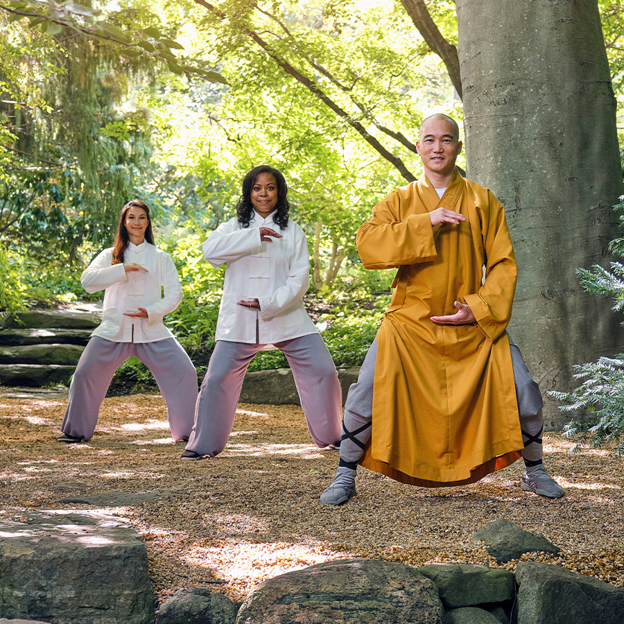 Tai Chi, Martial Art for Your Body and Mind